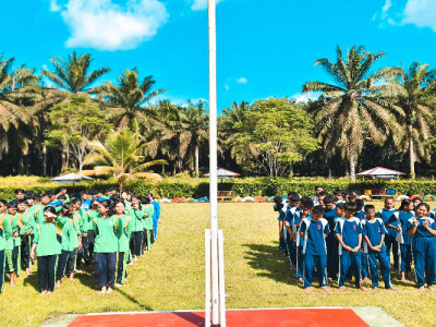 500x1000_IMG_20250611_091639